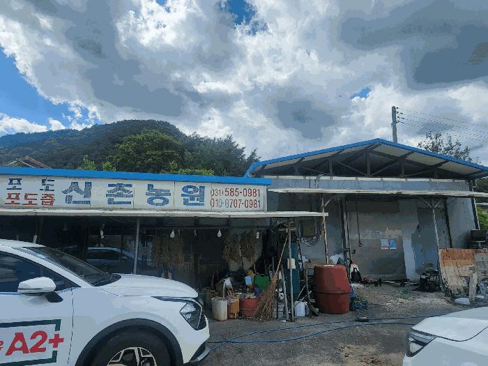 경기도 가평군 조종면 신상리 339-1 상가 경매 사진 6