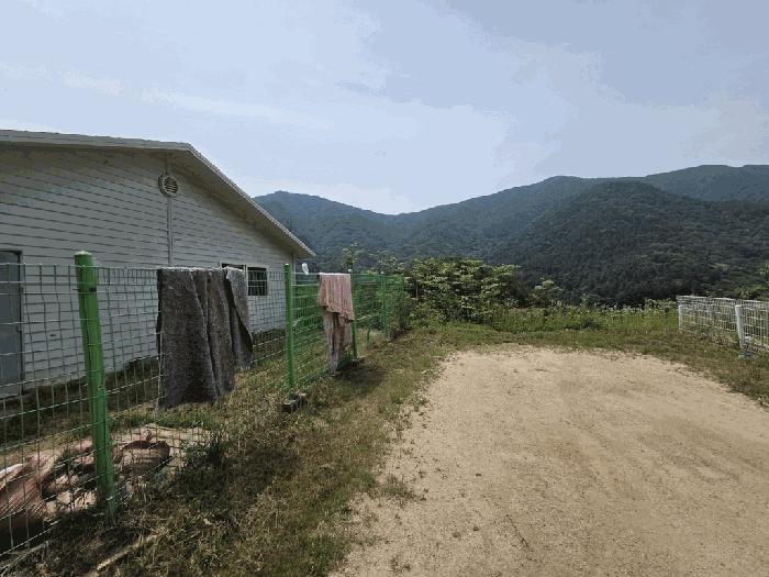 경기 가평군 축사(농가시설)