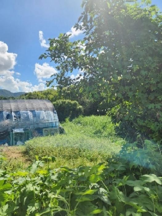 전라남도 나주시 노안면 용산리 422 전 경매 사진 5
