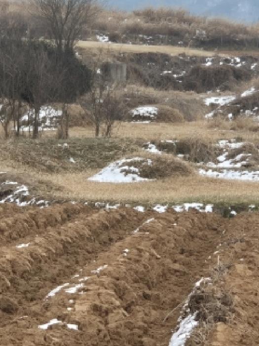 전라남도 영광군 묘량면 운당리 338-3 전 경매 사진 6