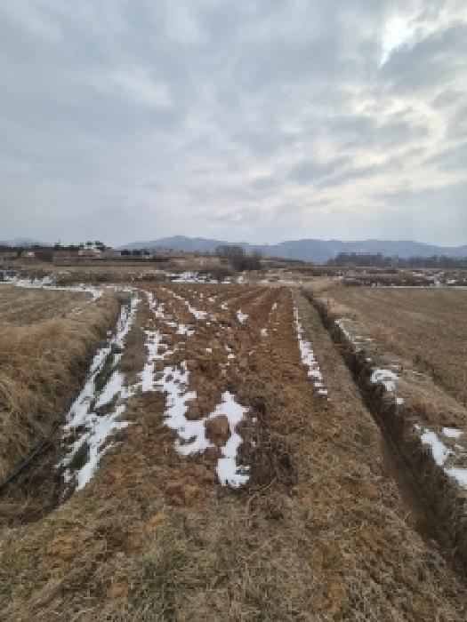 전라남도 영광군 묘량면 운당리 338-3 전 경매 사진 7
