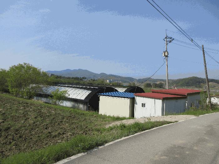 전라남도 나주시 세지면 성산리 35-1 답 경매 사진 6