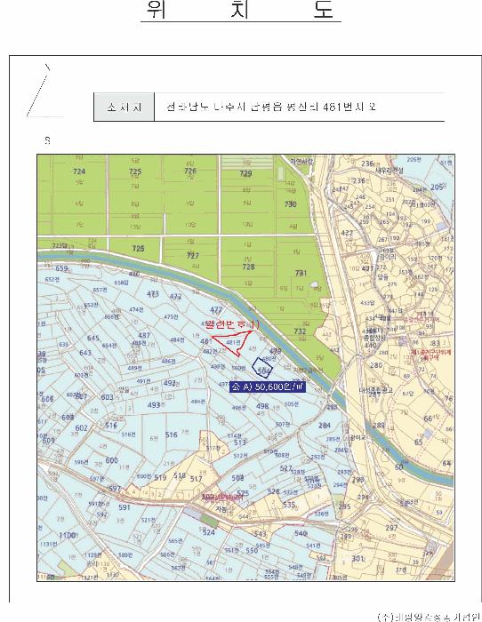 전라남도 나주시 금천면 죽촌리 688 답 경매 사진 19