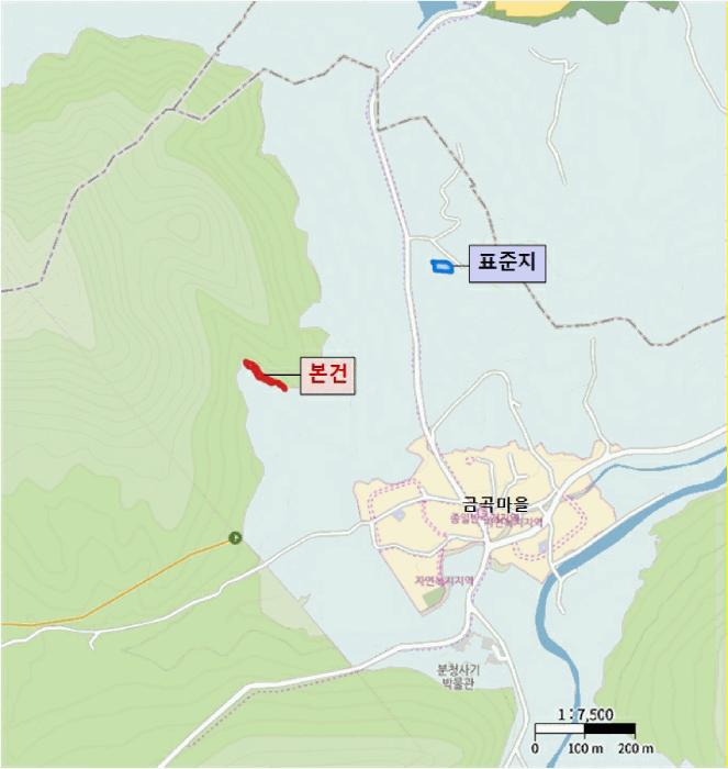 광주광역시 북구 금곡동 452 전 경매 사진 6