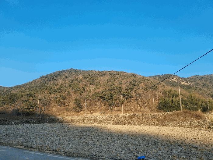 전라남도 영광군 백수읍 대신리 산104 임야 경매 사진 1
