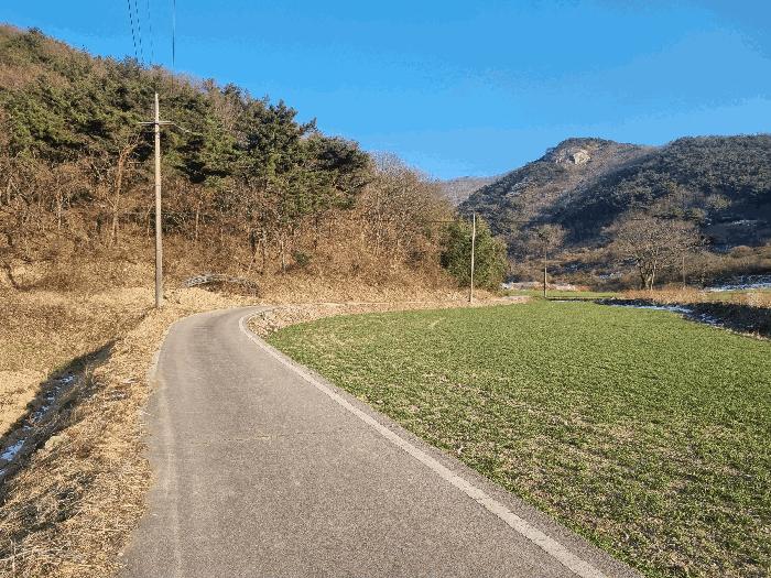 전라남도 영광군 백수읍 대신리 산104 임야 경매 사진 4