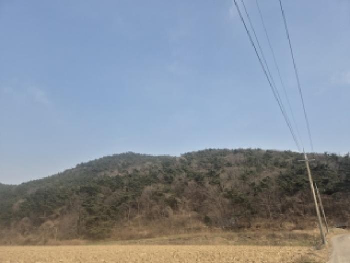 전라남도 영광군 백수읍 대신리 산104 임야 경매 사진 5
