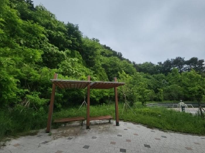 인천광역시 연수구 동춘동 산65-16 임야 경매 사진 5
