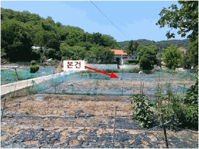 인천광역시 중구 무의동 521 전 경매 사진 1