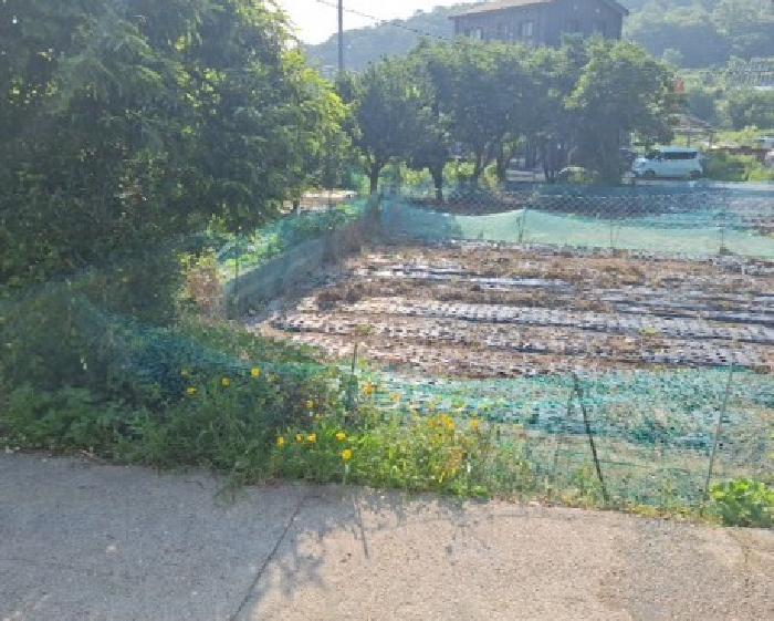 인천광역시 중구 무의동 521 전 경매 사진 7