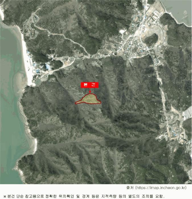 인천광역시 중구 무의동 산224 임야 경매 사진 12