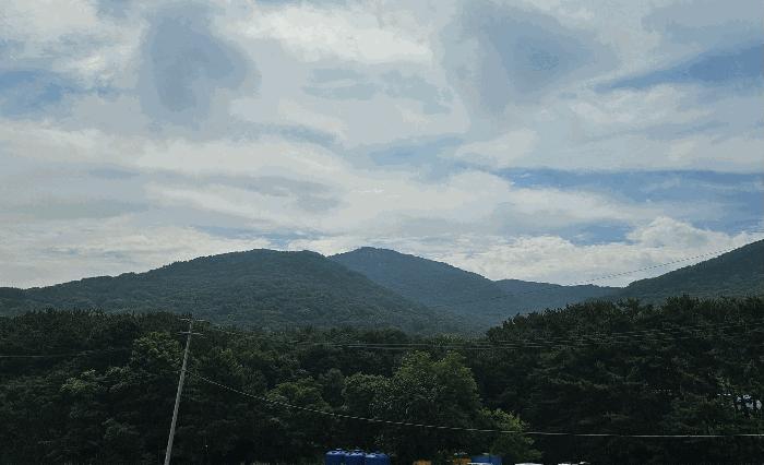인천광역시 중구 무의동 산224 임야 경매 사진 2