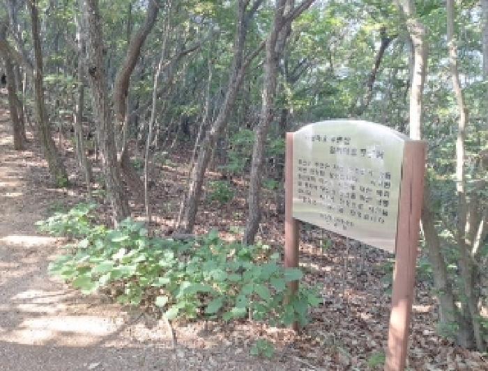 인천광역시 중구 무의동 산224 임야 경매 사진 4