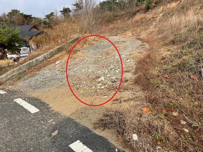 세종특별자치시 장군면 봉안리 295-5 임야 경매 사진 7