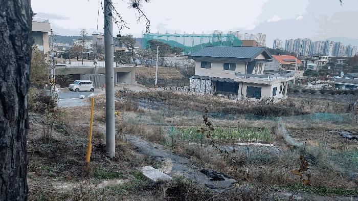 대전광역시 유성구 덕명동 187 답 경매 사진 2