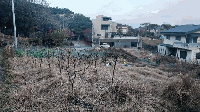 대전광역시 유성구 덕명동 187 답 경매 사진 3