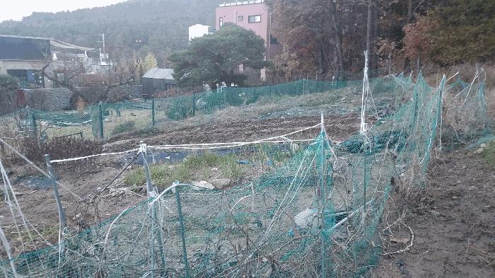 대전광역시 유성구 덕명동 187 답 경매 사진 7