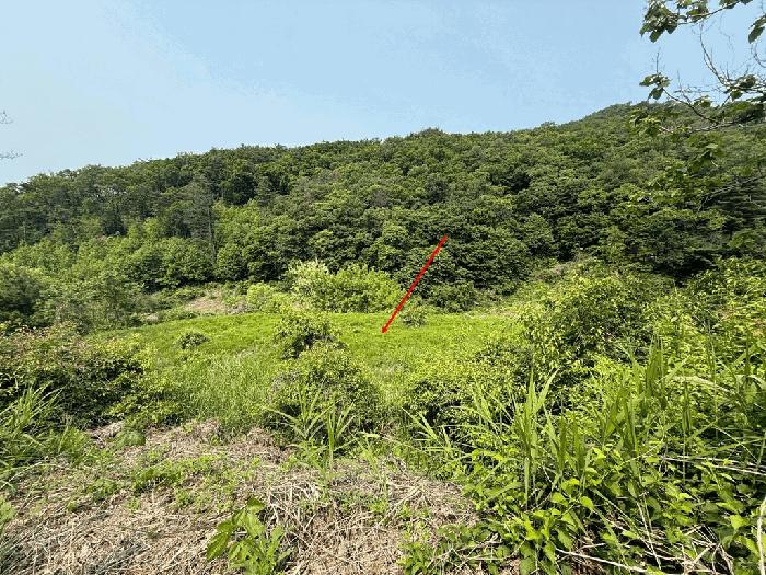 경기도 남양주시 오남읍 팔현리 89-1 공장 경매 사진 11