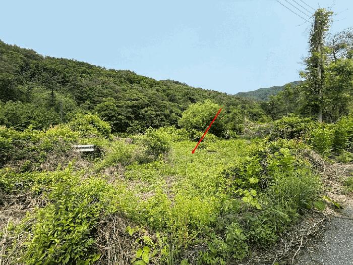 경기도 남양주시 오남읍 팔현리 89-1 공장 경매 사진 12
