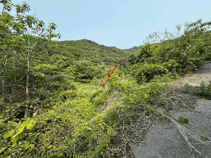 경기도 남양주시 오남읍 팔현리 89-1 공장 경매 사진 13