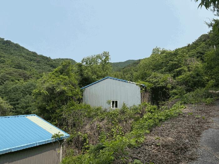 경기도 남양주시 오남읍 팔현리 89-1 공장 경매 사진 2
