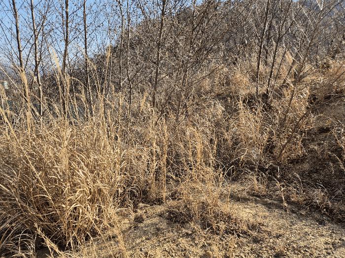 경상남도 양산시 답
