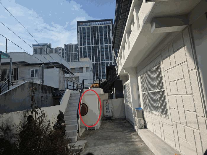 대전광역시 서구 도마동 129-29 주택 경매 사진 5