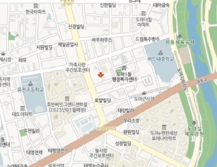 대전광역시 서구 도마동 129-29 주택 경매 사진 9