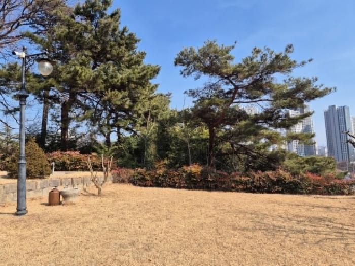 대전광역시 유성구 계산동 319-6 주택 경매 사진 17
