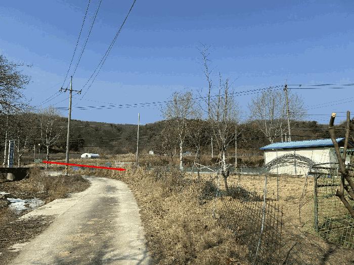 세종특별자치시 연서면 와촌리 995-2 전 경매 사진 5
