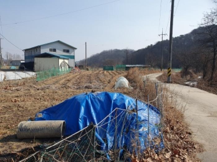세종특별자치시 연서면 와촌리 995-2 전 경매 사진 7
