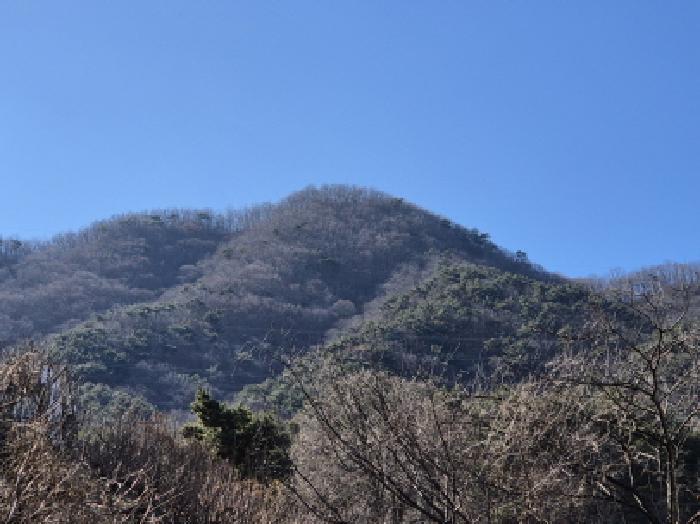 울산 울주군 임야