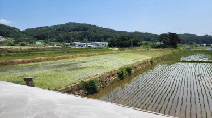 울산광역시 울주군 상북면 지내리 76-1 답 경매 사진 5