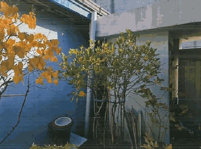대구광역시 서구 비산동 274-22 대지 경매 사진 4