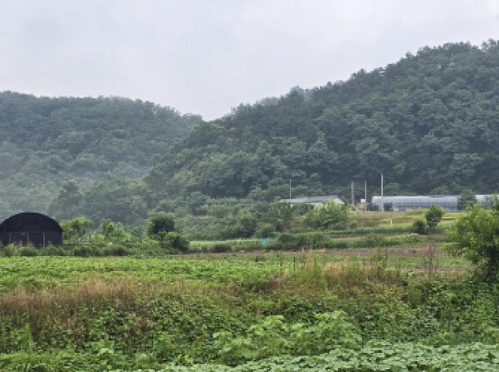 경상북도 영천시 고경면 전사리 231-1 과수원 경매 사진 9