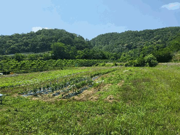 경상북도 영천시 전
