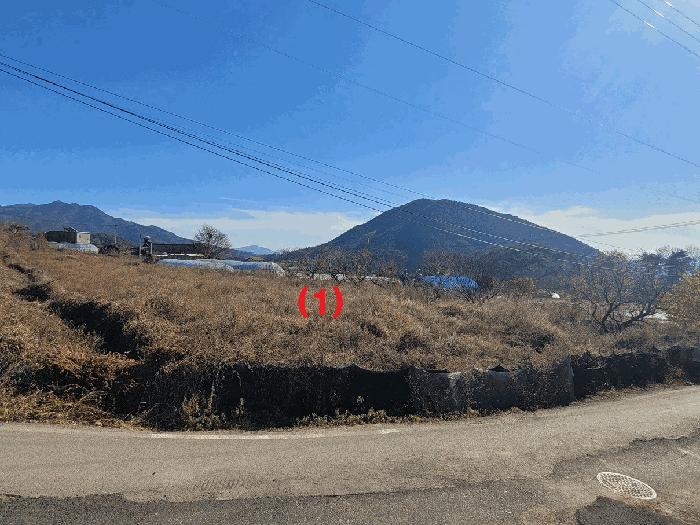경상북도 칠곡군 동명면 남원리 1092 전 경매 사진 10