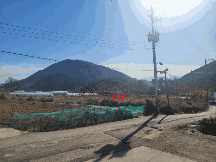경상북도 칠곡군 동명면 남원리 1092 전 경매 사진 2