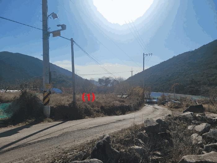 경상북도 칠곡군 동명면 남원리 1092 전 경매 사진 3
