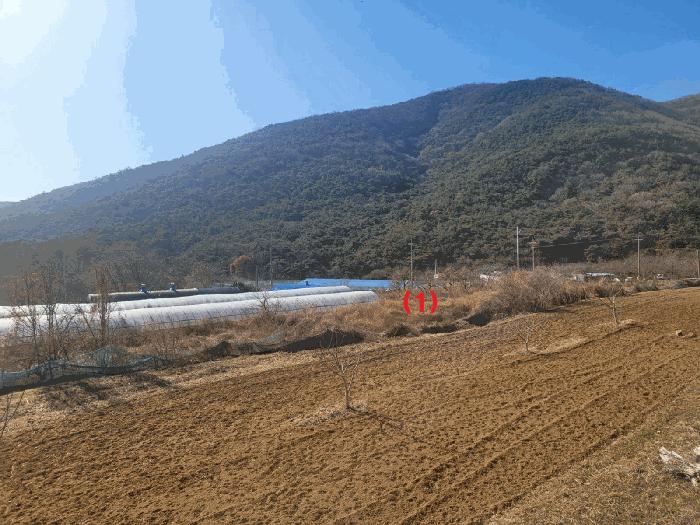 경상북도 칠곡군 동명면 남원리 1092 전 경매 사진 5