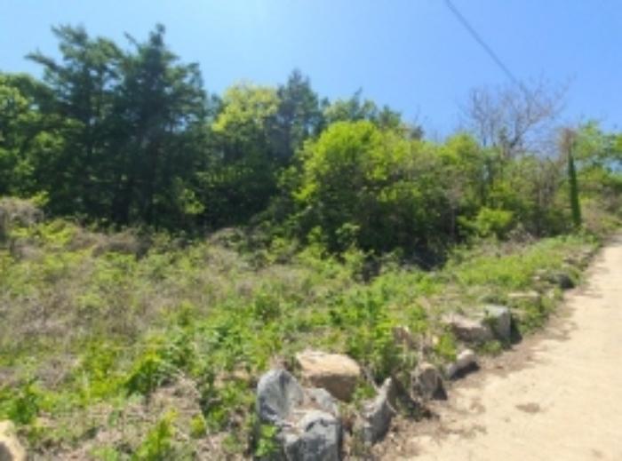 인천광역시 강화군 불은면 삼동암리 960-2 주택 경매 사진 6