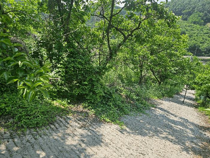 경상북도 청도군 전