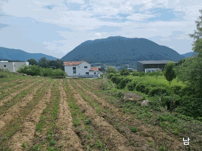 경상북도 칠곡군 동명면 남원리 137 전 경매 사진 3