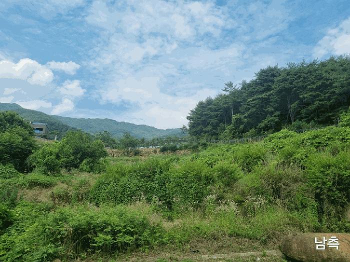 경상북도 칠곡군 동명면 남원리 137 전 경매 사진 4