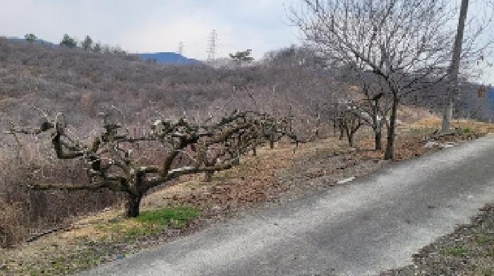 경상남도 함안군 칠북면 덕남리 663 전 경매 사진 10