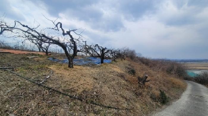 경상남도 함안군 칠북면 덕남리 663 전 경매 사진 14