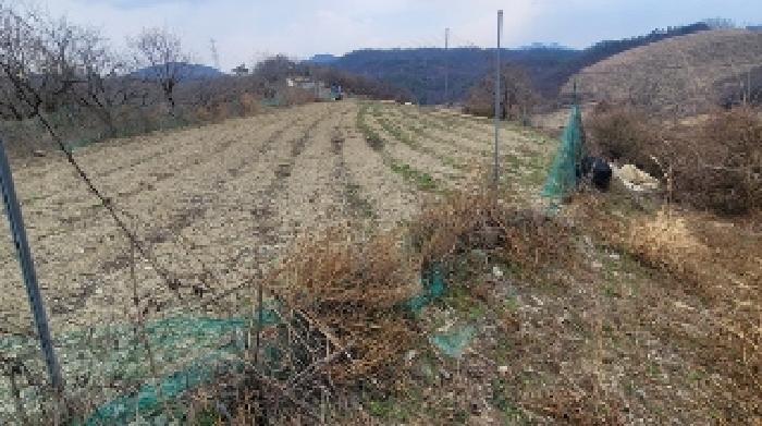 경상남도 함안군 칠북면 덕남리 663 전 경매 사진 16