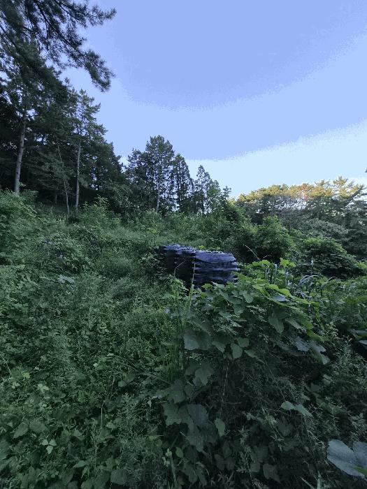 경상남도 창원시 마산회원구 내서읍 용담리 190-2 근린주택 경매 사진 2