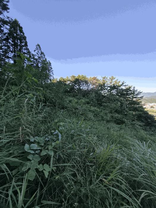 경상남도 창원시 마산회원구 내서읍 용담리 190-2 근린주택 경매 사진 9