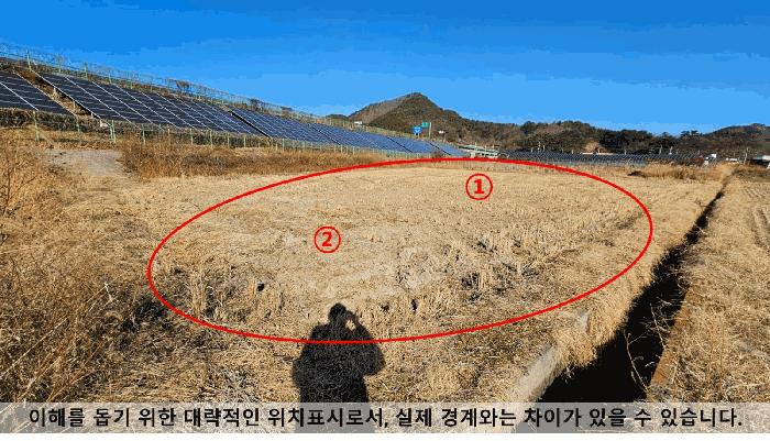 경상남도 창원시 마산합포구 진전면 근곡리 196-2 답 경매 사진 2